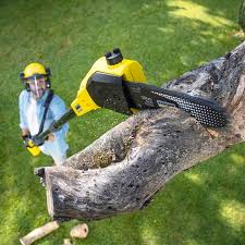 Soil Testing and Treatment in Bowling Green, OH